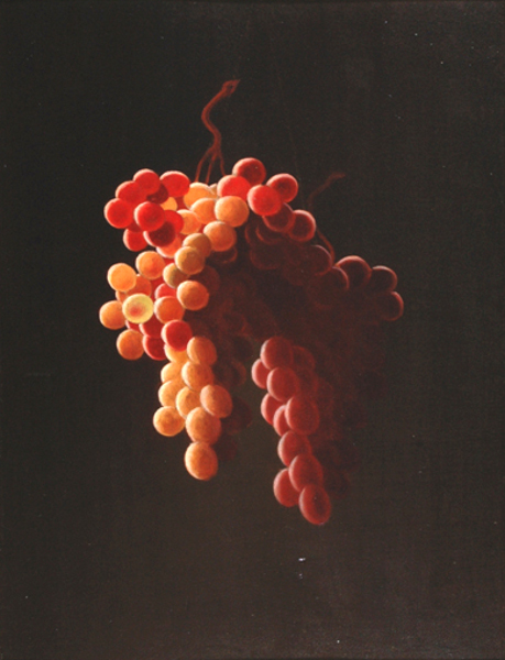TokayGrapes TBL web